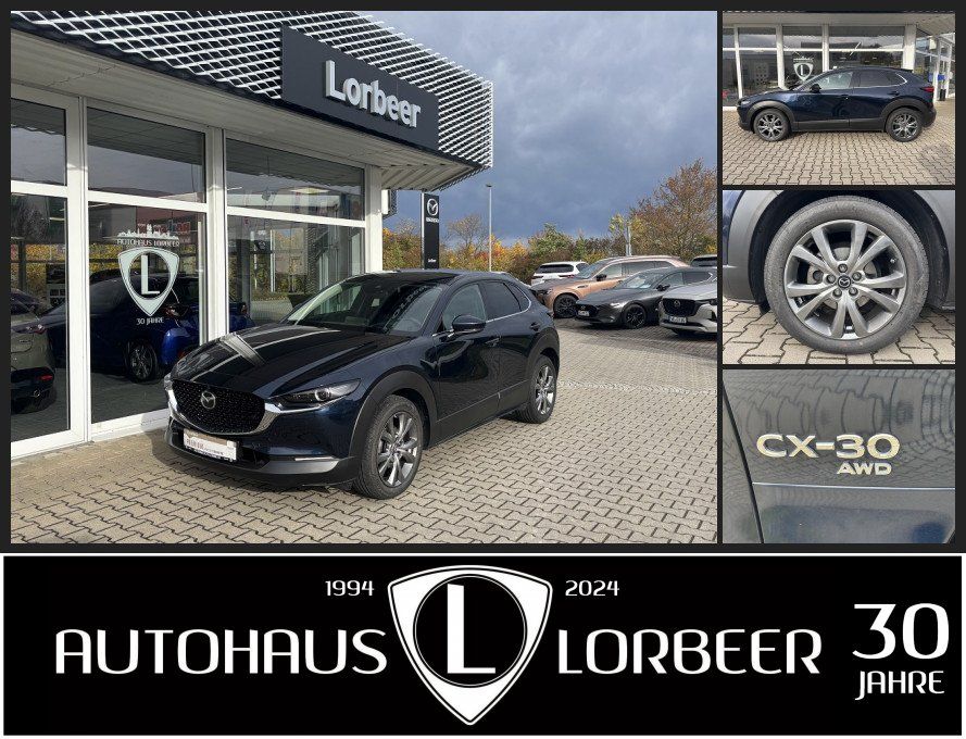 Mazda CX-30 M-HYBRID X 186PS SELECTION DES-P PRE-P NAV