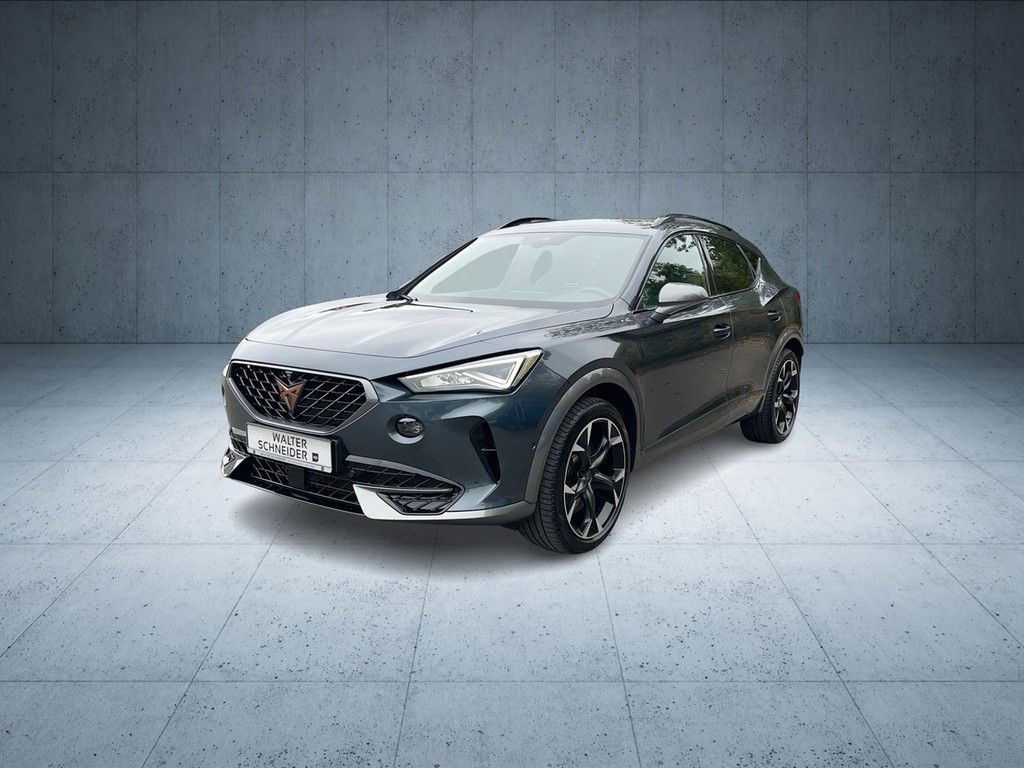 Cupra Formentor 2.0 TSI DSG VZ 4Drive AHK Pano Navi LE