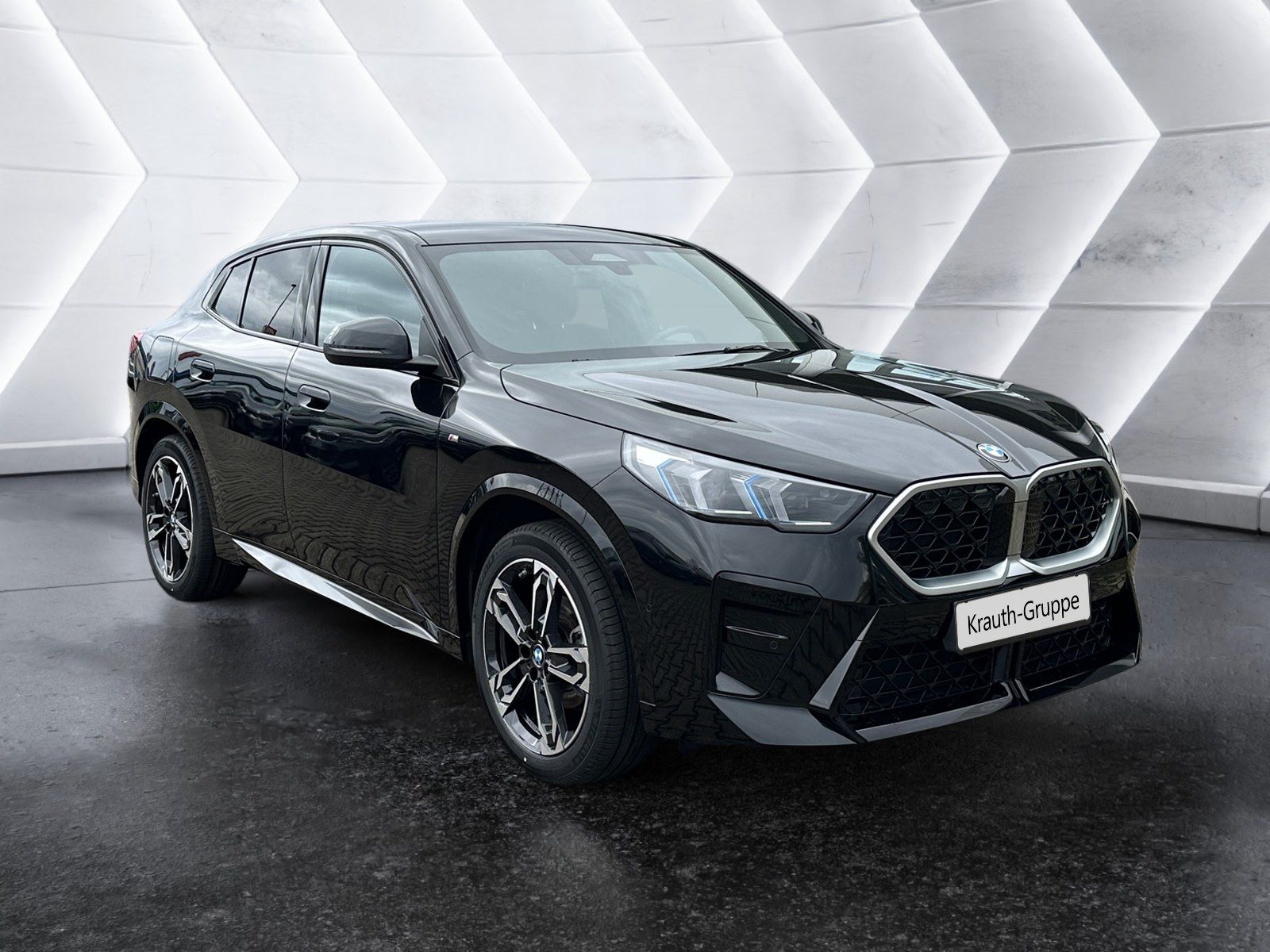 BMW X2 xDrive20d M Sportpaket HK HiFi DAB LED Shz