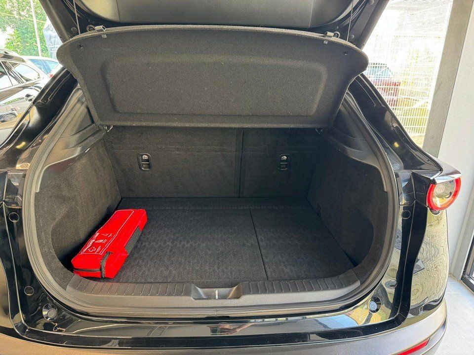 Mazda CX-30 Selection 186 PS *Design*Premium-Paket*