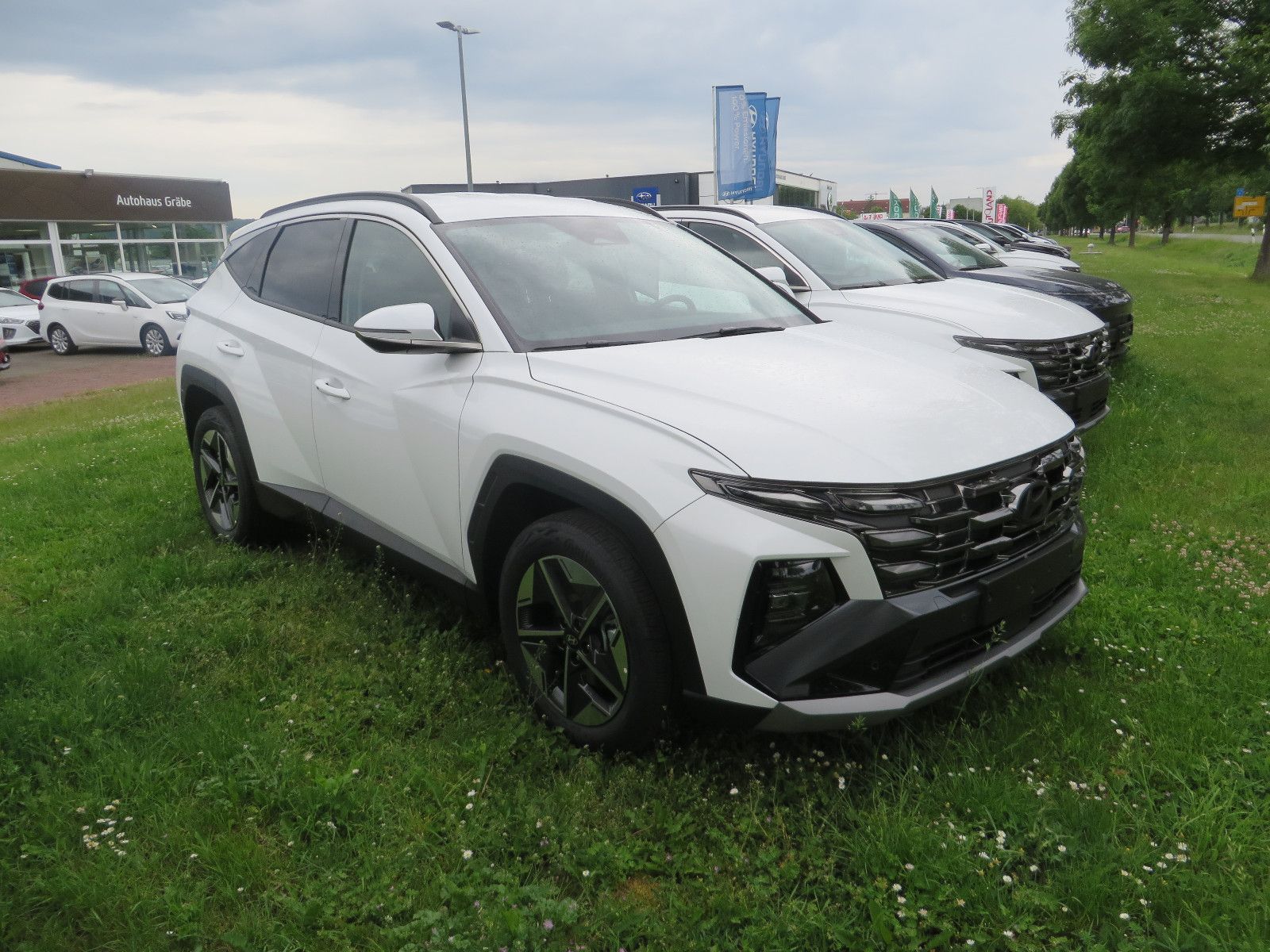 Hyundai TUCSON 1.6 T-GDI DCT Trend - Samsaru's Car Outlet