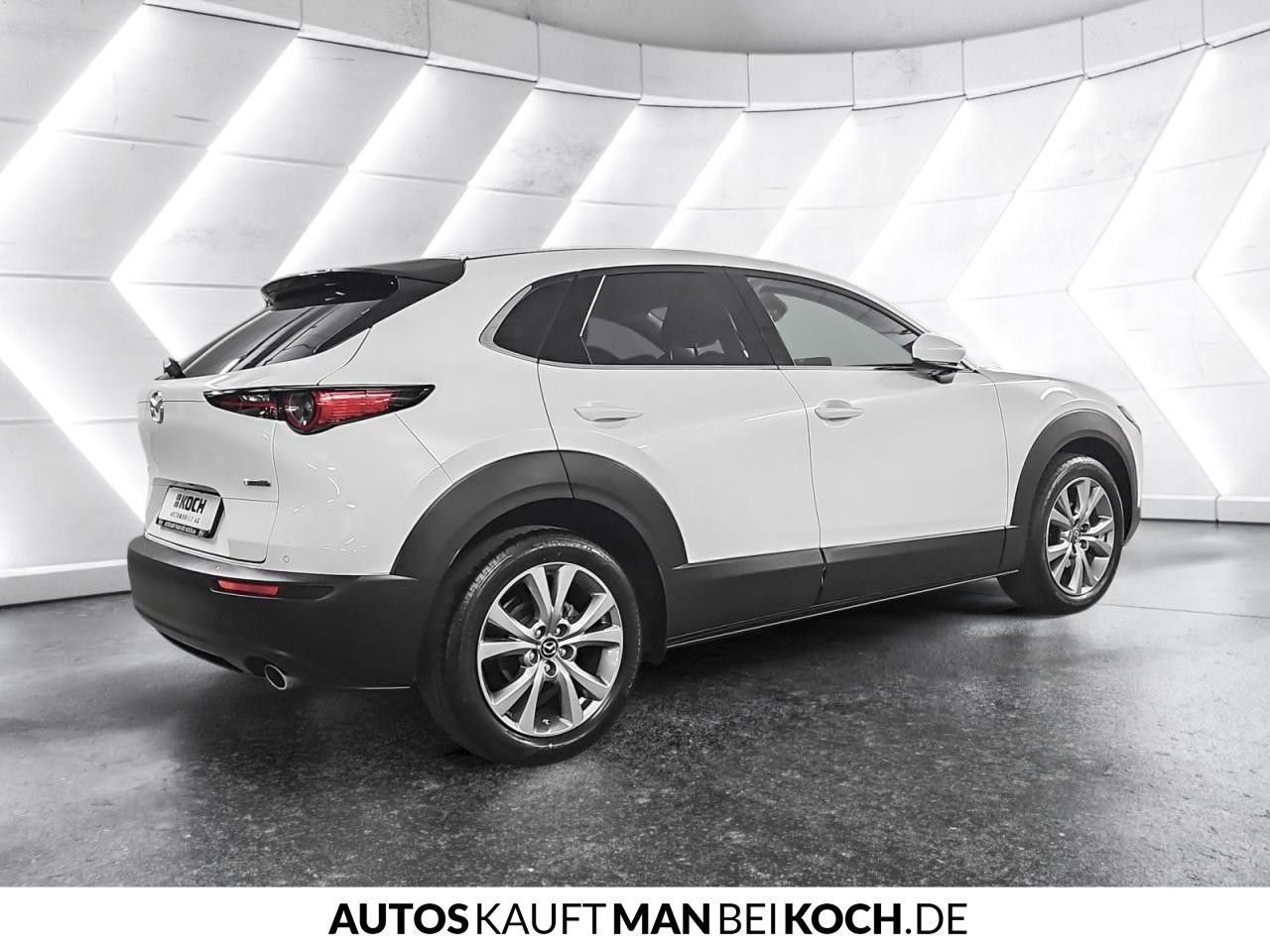 Mazda CX-30 2,5 e-SKYACTIV-G 140 MHybrid Navi ACC SHZ