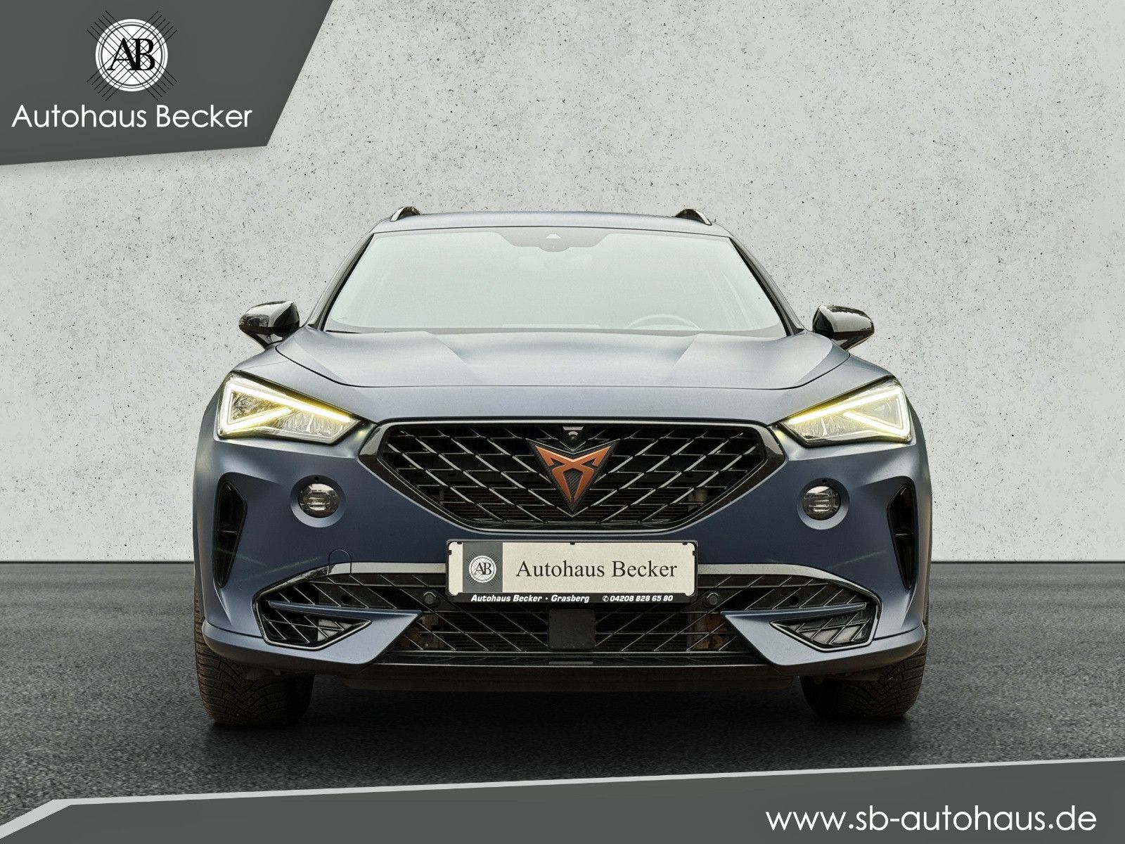 Cupra Formentor VZ 4Drive+ACC+LED+360°KAMERA+BREMBO+