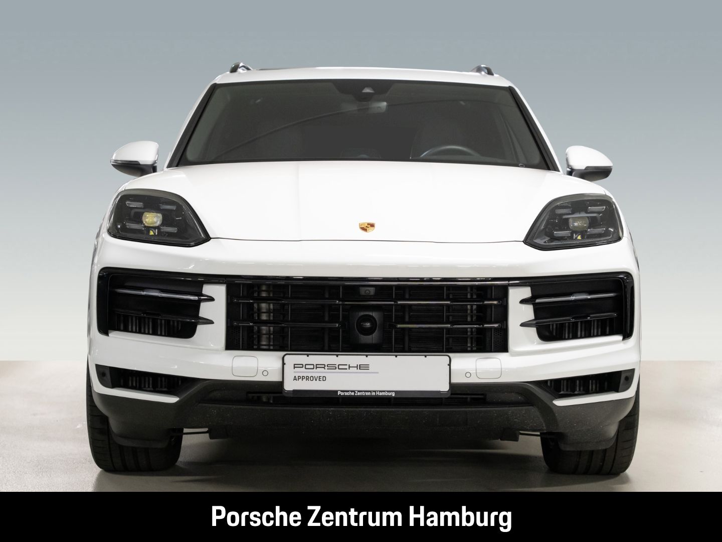 Porsche Cayenne E-Hybrid Pano PASM BOSE ACC 21-Zoll 360°
