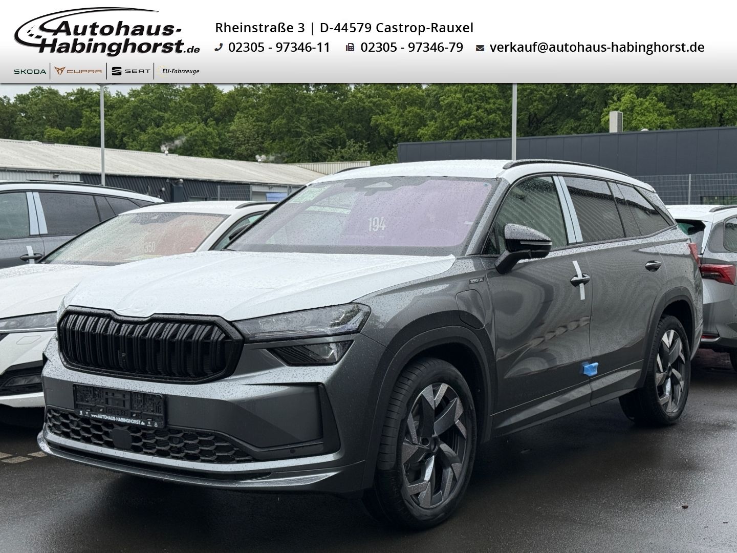 Skoda Kodiaq II 1.5 TSI iV DSG Sportline DCC AHK Matri
