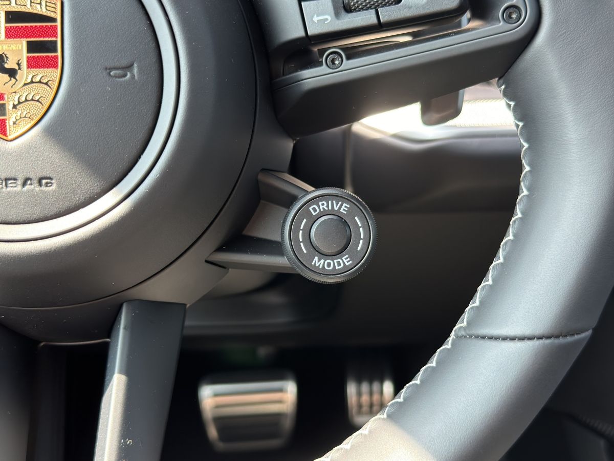 Porsche Cayenne S E-Hybrid | Hinterachslenkung | PDCC |
