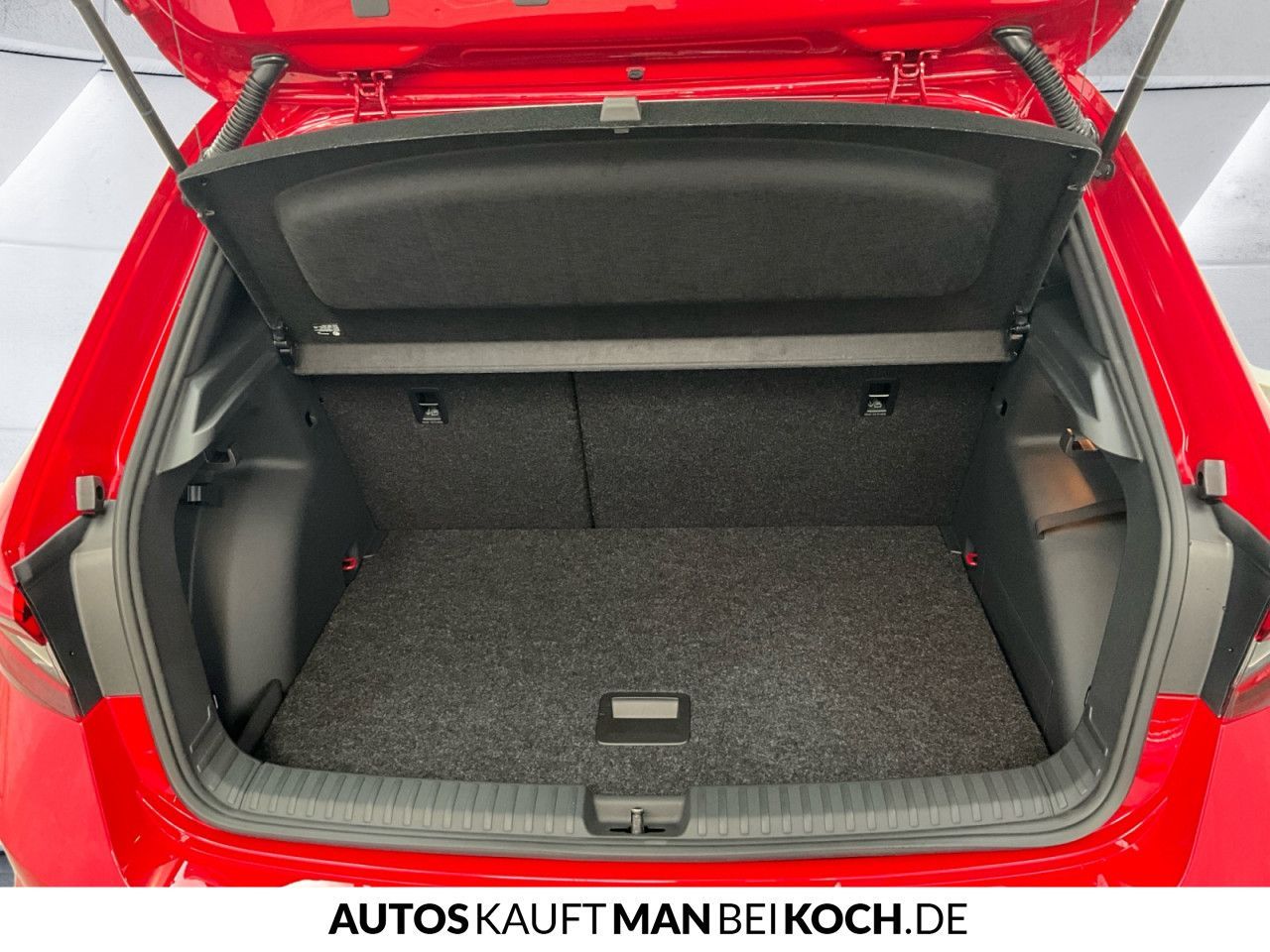 Skoda Fabia 1.0 TSI DSG Monte Carlo LED NAVI SPORT-FW