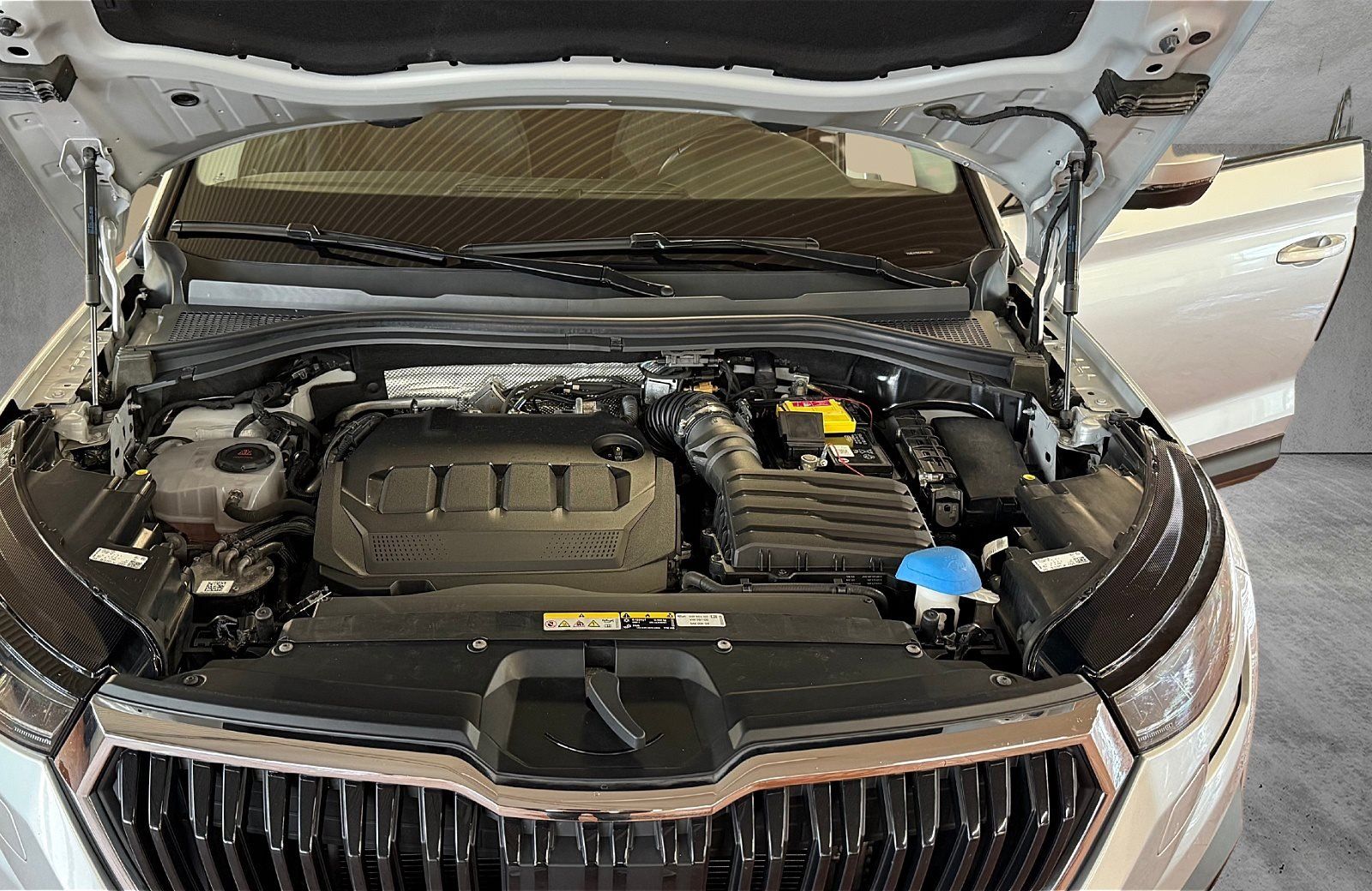 Skoda Kodiaq 2.0 TDI Clever 4x4 DSG LED Navi ACC AHK P