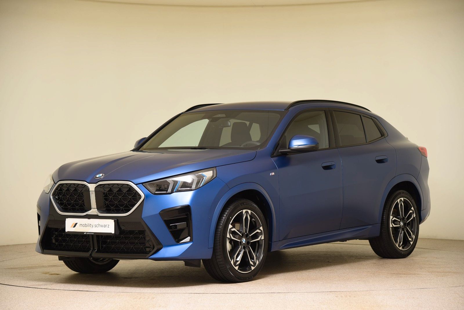 BMW X2 20d xDrive M Sport ACC ParkAss+ HUD AHK LED