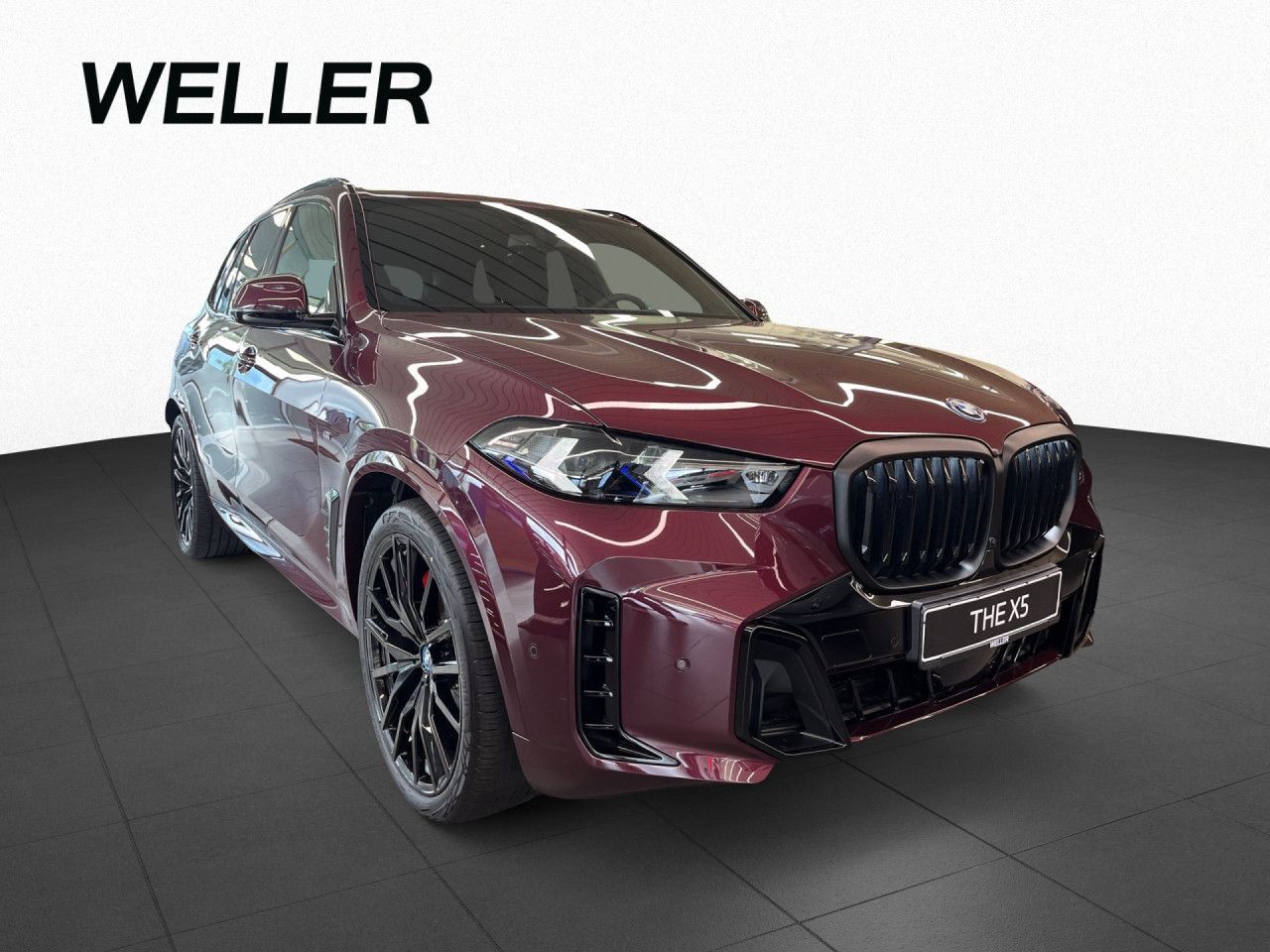 BMW X5 xDrive50e Bowers&Wilkins Autobahn Assistent