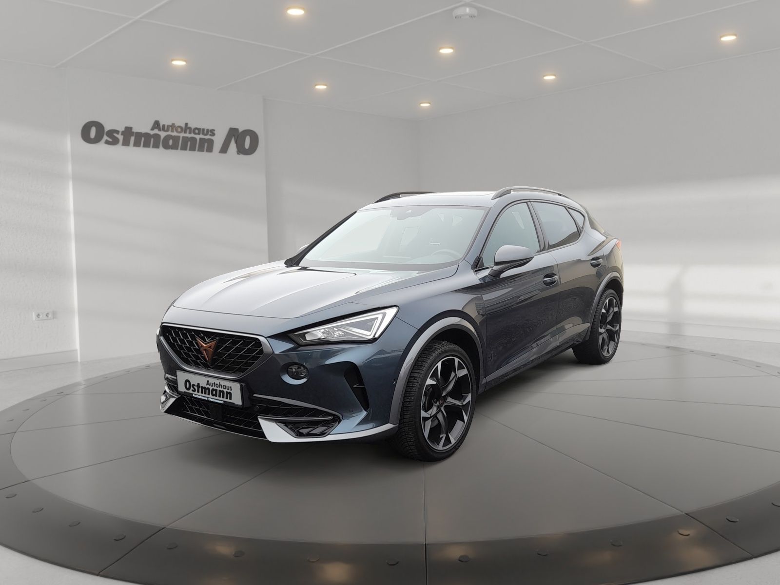 Cupra Formentor 2.0 TSI 4Drive - Samsaru's Car Outlet