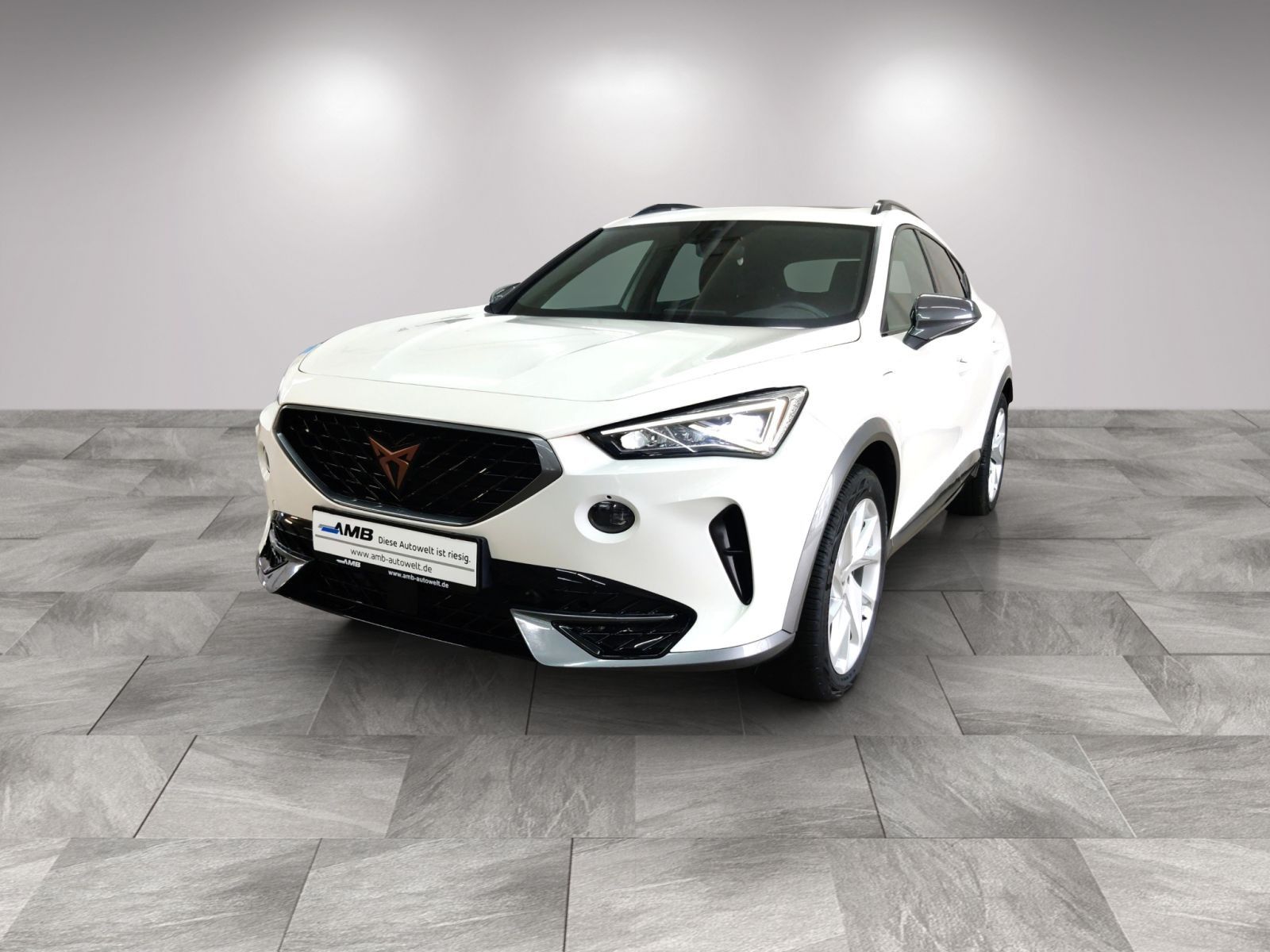 Cupra Formentor eHYBRID AHK/LED/FAP:XL/Navi/Pano/RFKam