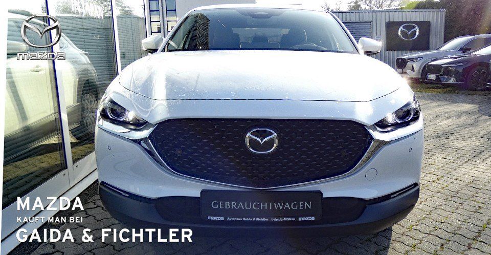 Mazda CX-30 e-SKYACTIV G 140 PS Automatik Takumi Leder
