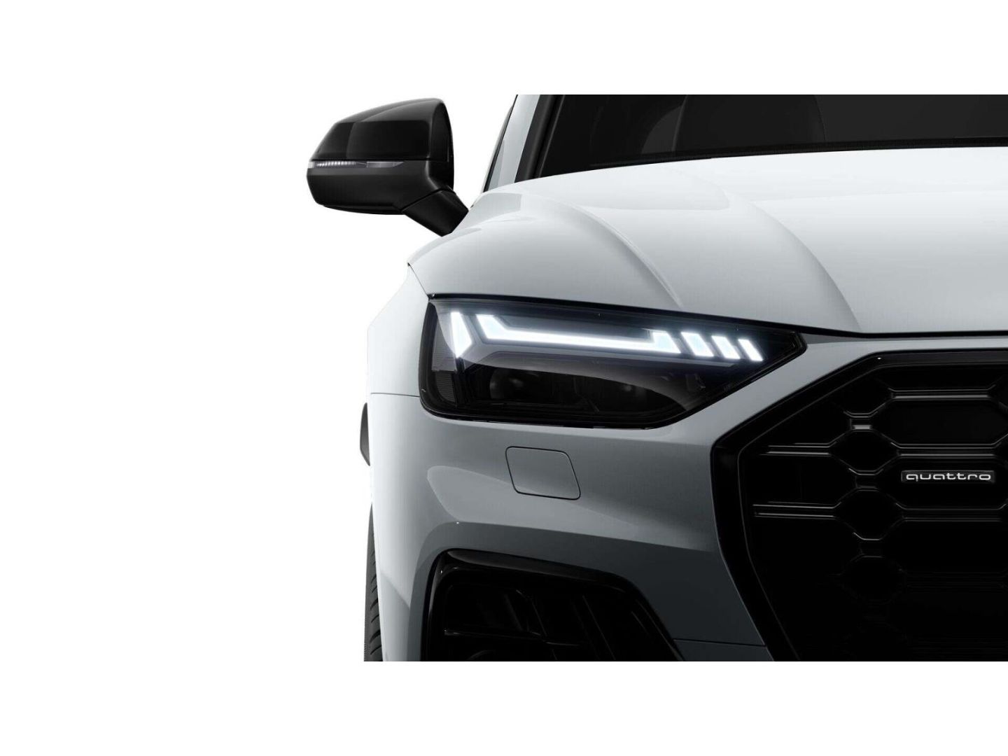Audi Q5 40 TFSI quattro S line AHK/Pano/Luft/B&O/StHz