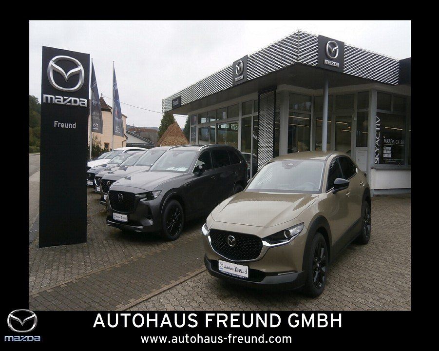 Mazda CX-30 2.5L e-SKYACTIV G 140ps Homura