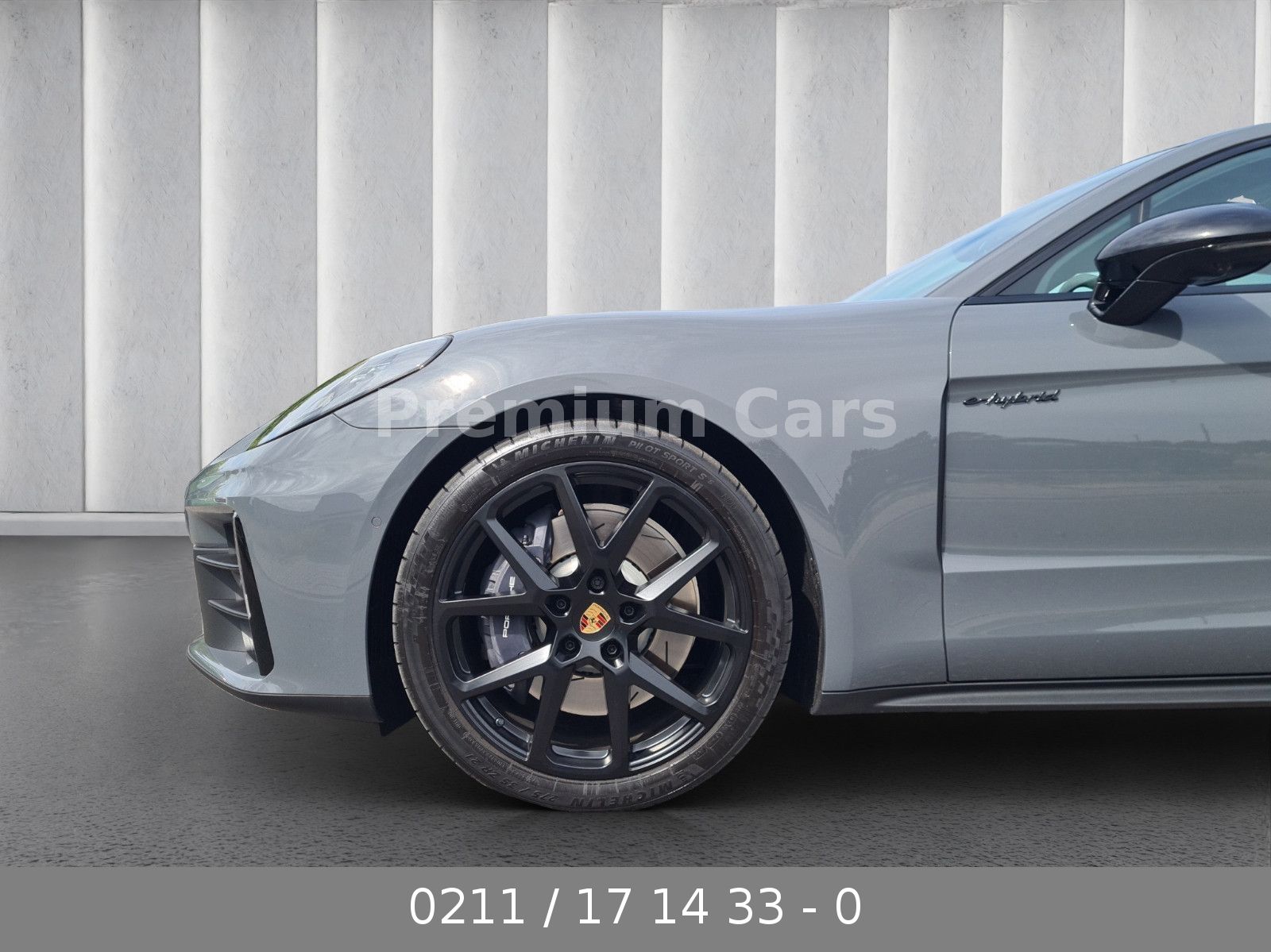 Porsche Panamera 4 E-Hybrid /Race-Tex /Hinterachslenkung