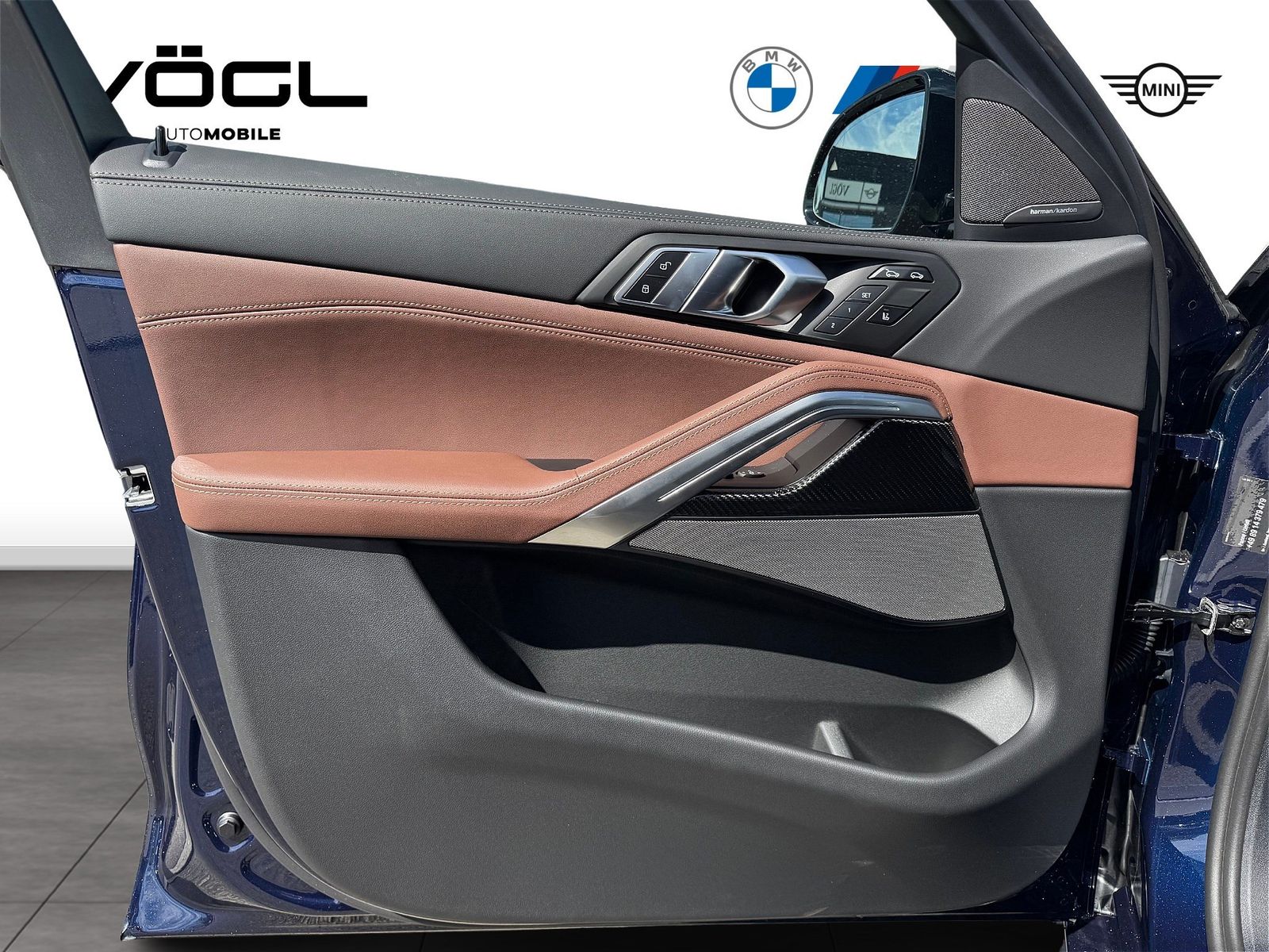 BMW X6 xDrive40d M Sport Sportpaket HK HiFi DAB LED