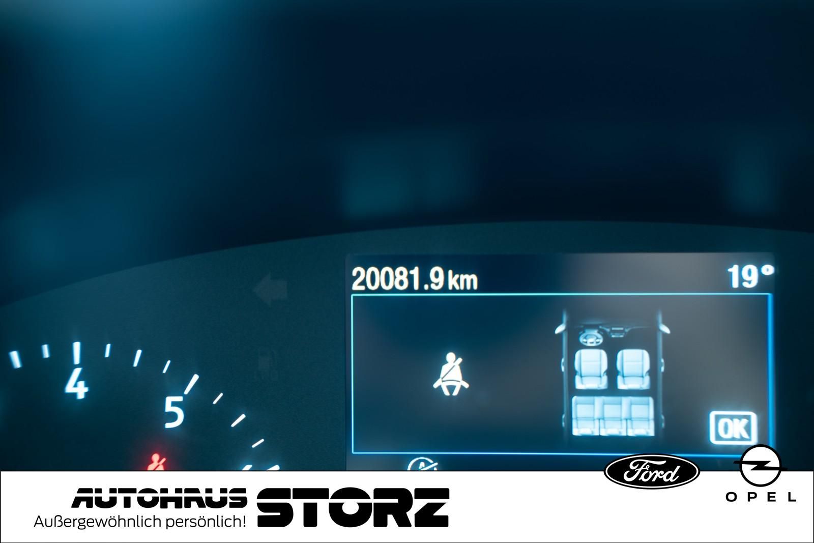 Ford Fiesta Active X AUTOMATIK|LED|WINTER PAKET|FAHRE