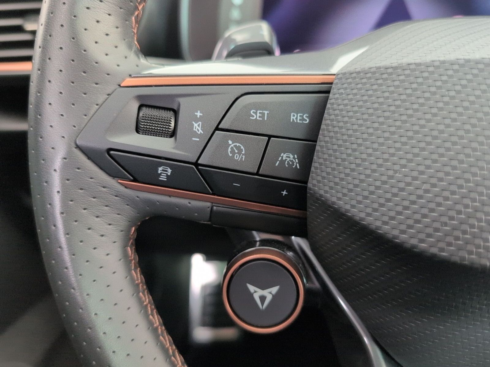 Cupra Formentor 2.0 TSI VZ AHK PANO LEDER COPPER MATT