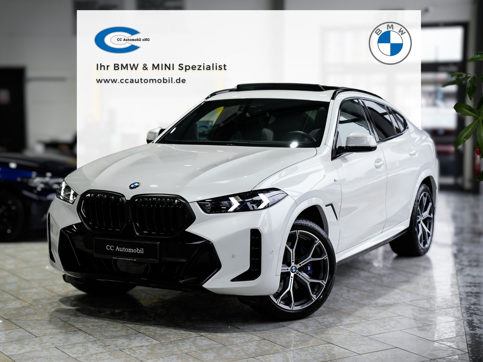 BMW X6 30d M SPORT PRO Massage Standh. Belüft.Carbon