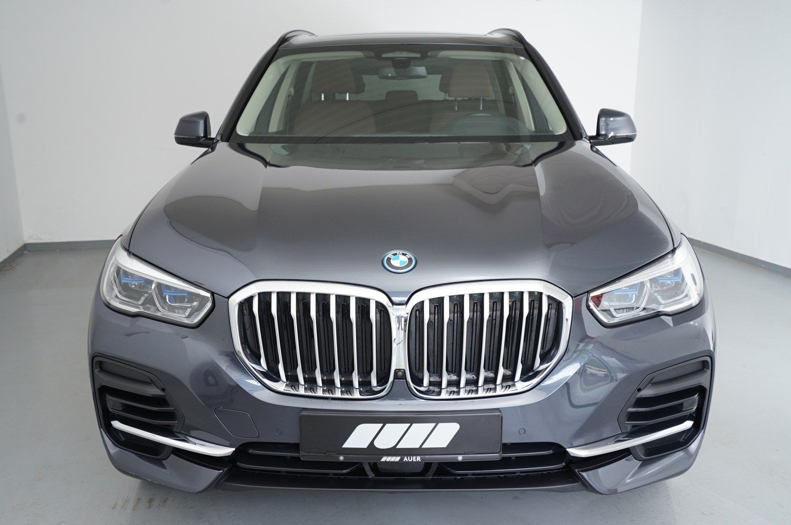 BMW X5 xDrive 45e (Navi AHK Pano HUD ACC B&W 360°)