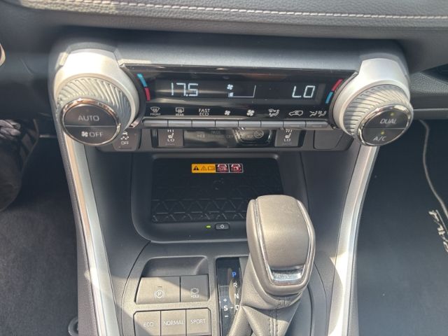 Toyota RAV 4 Hybrid Team Deutschland Sitzheizung - Temp