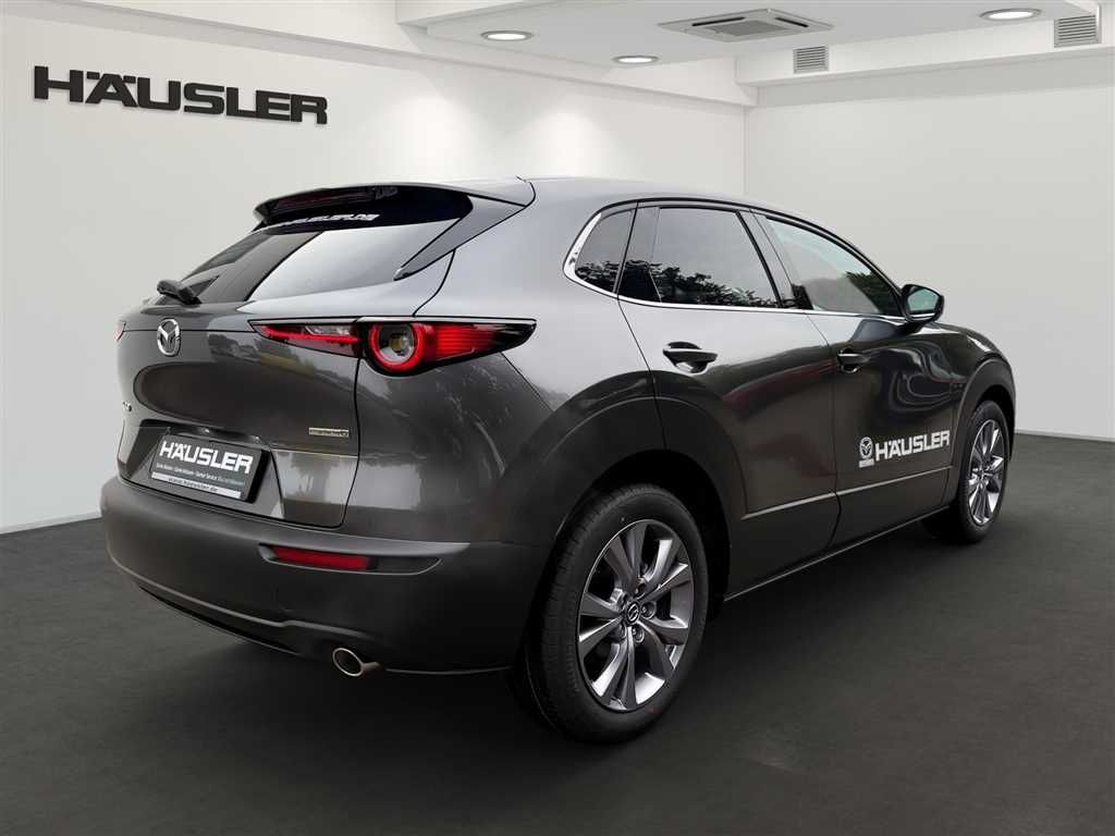 Mazda CX-30 2.5 Takumi *Navi*BOSE*360°Kamera*LED-Schei