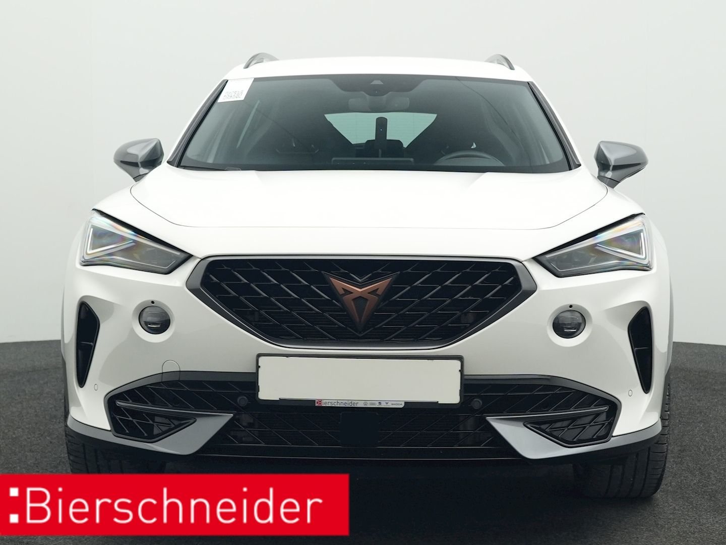 Cupra Formentor 2.0 TSI DSG 4Dr. VZ AHK BEATS NAVI LED