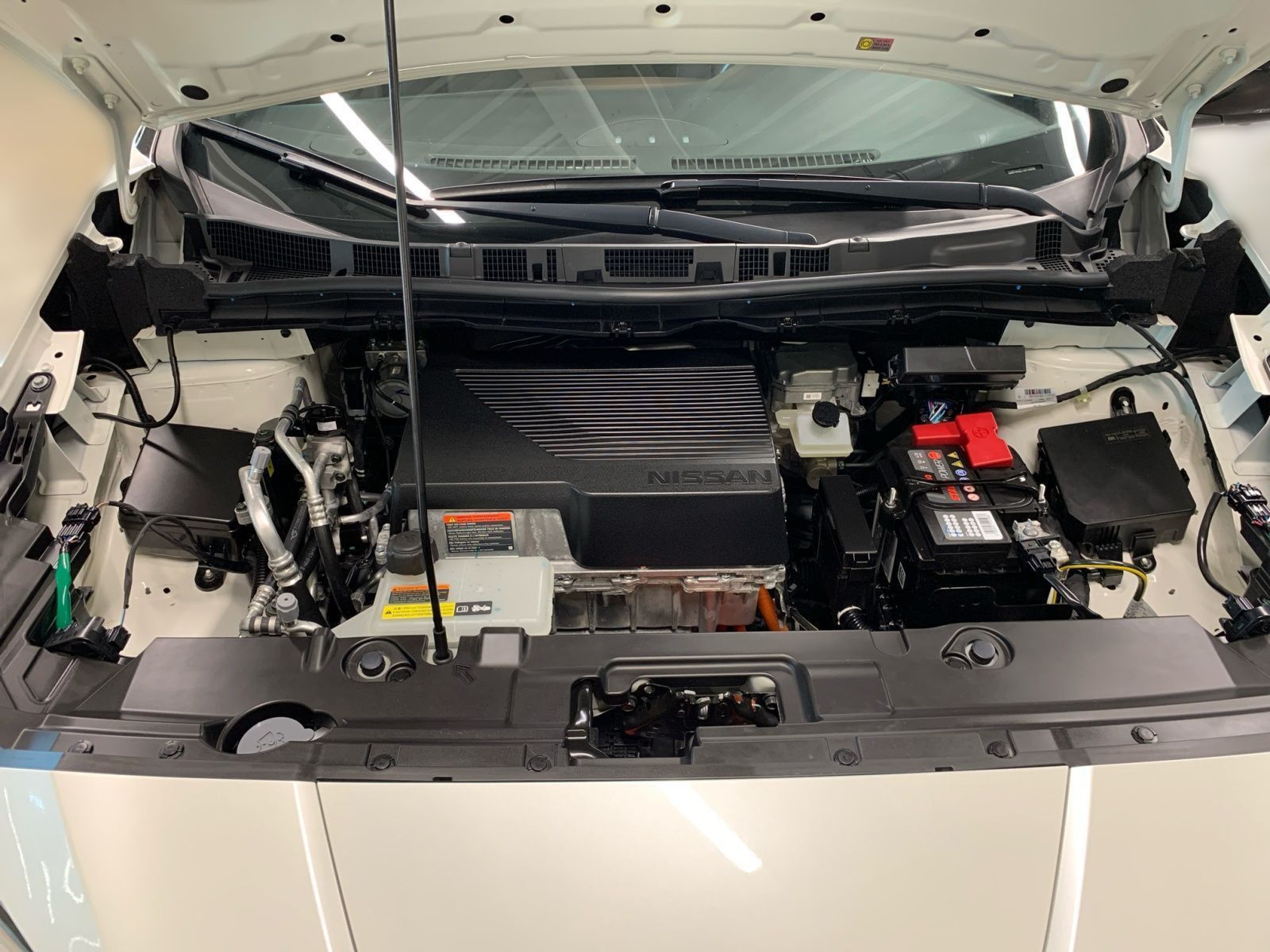 Nissan Leaf e+ N-Connecta 62 kWh - Samsaru's Car Outlet