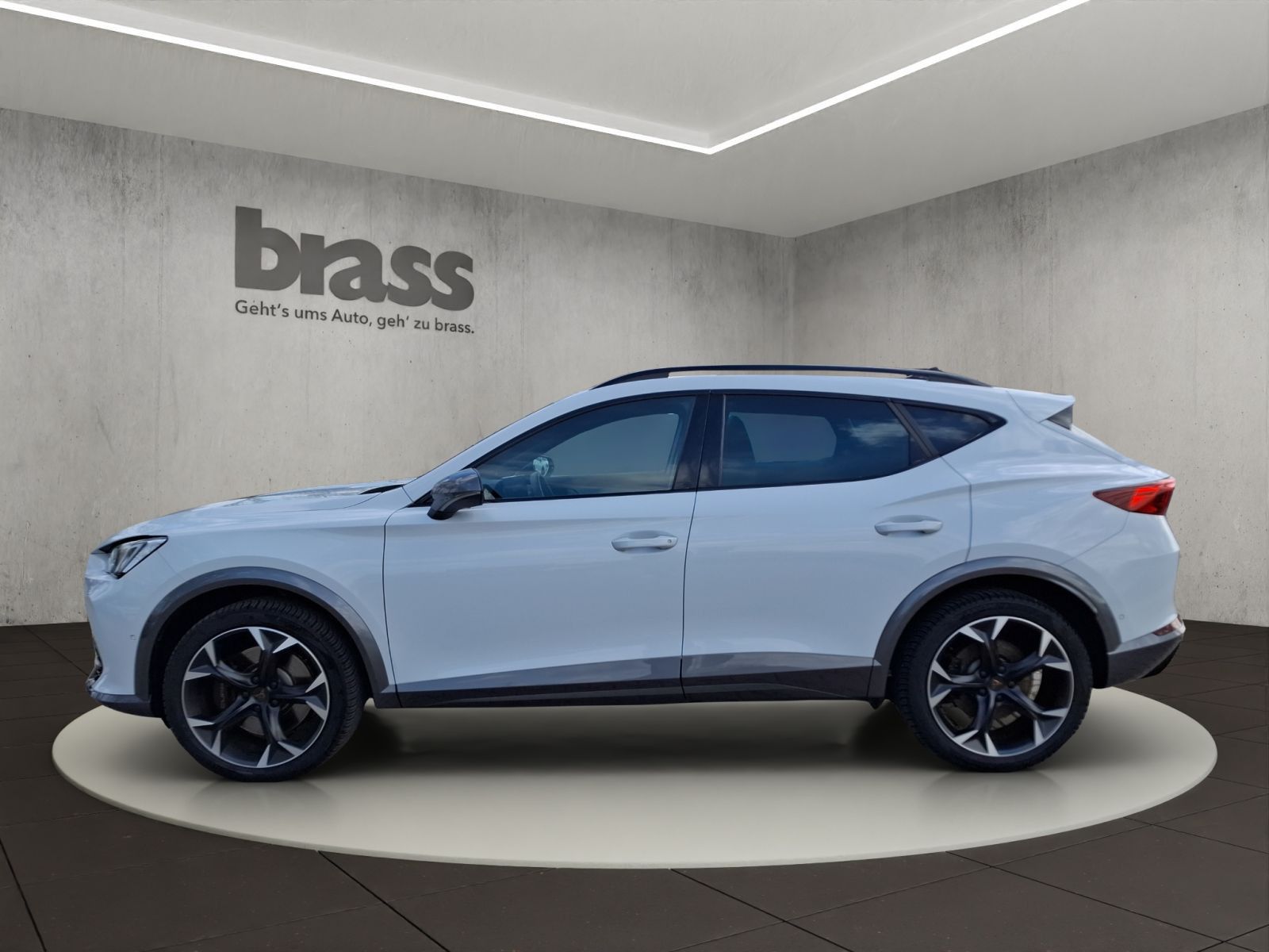 Cupra Formentor 2.0 TSI VZ AHK Panorama Soundsystem