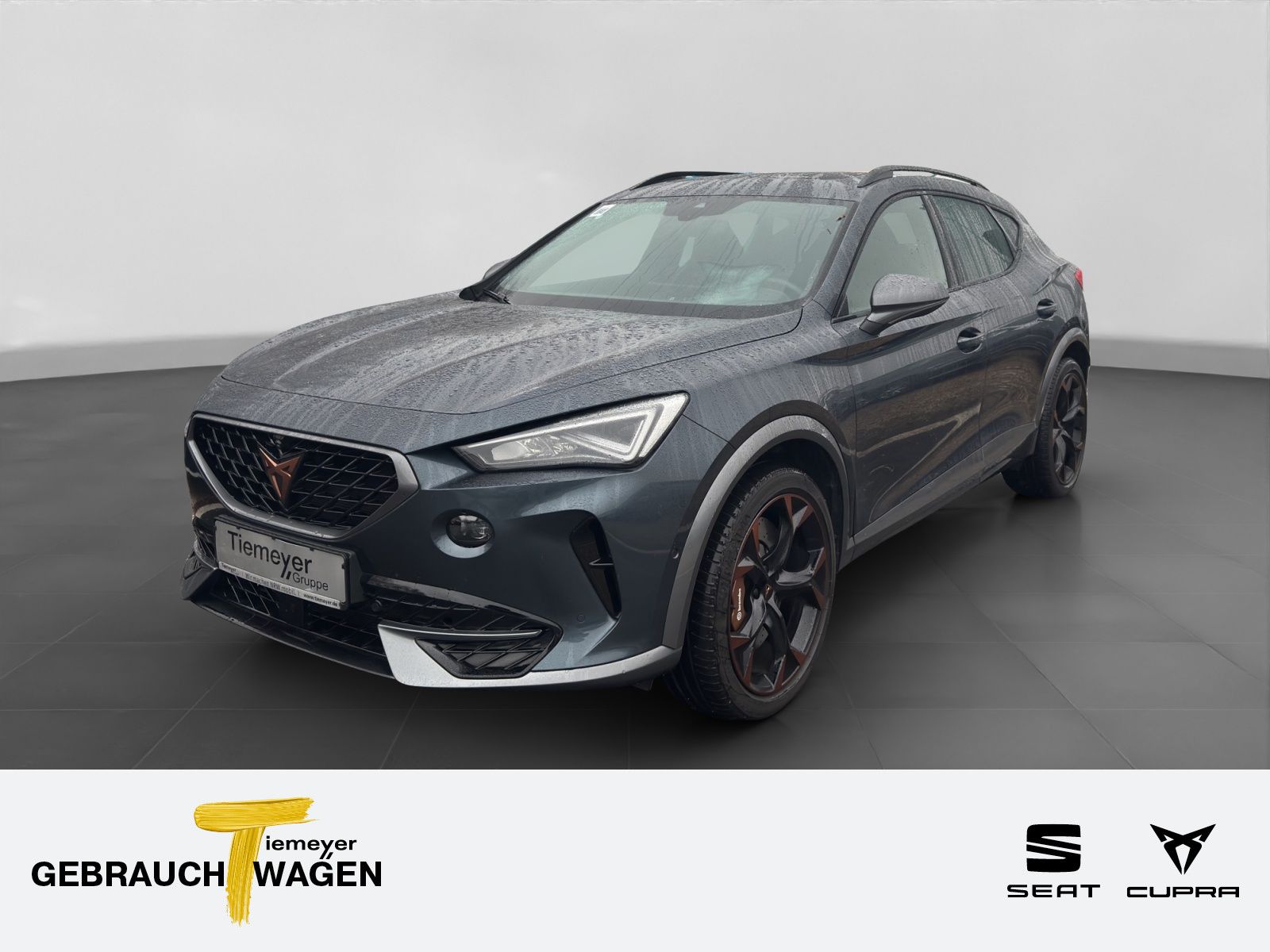 Cupra Formentor 2.0 TSI DSG VZ LEDER BREMBO PANO AHK