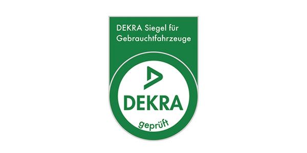 Volkswagen Passat 4Motion R-Line Matrix 360° Memory AHK