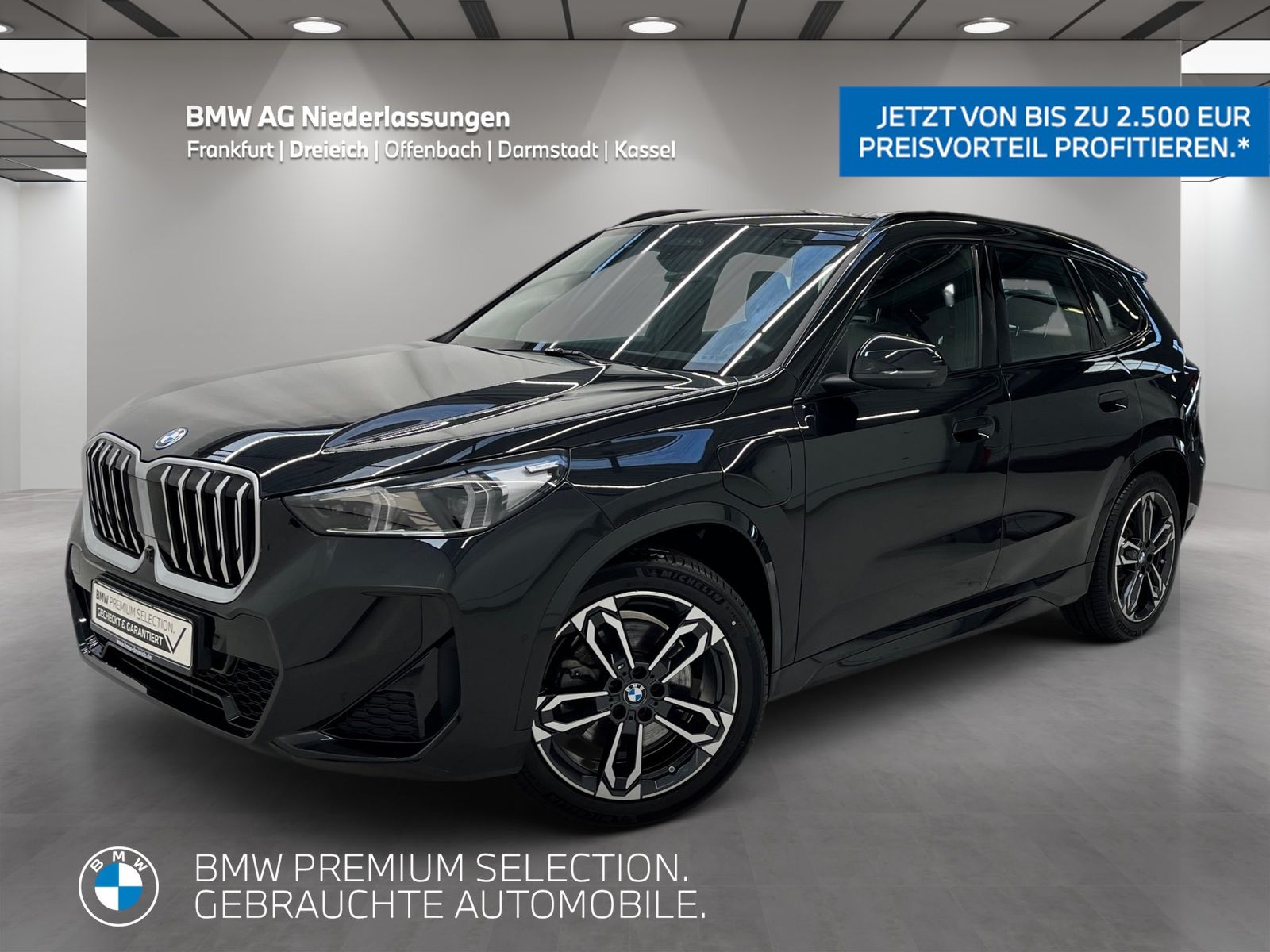 BMW X1 xDrive30e M Sport AHK Driv.Assist.Prof LED