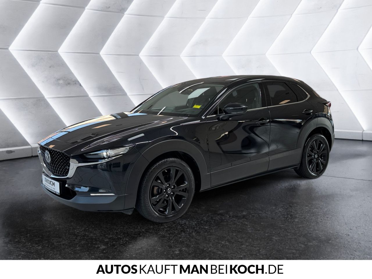 Mazda CX-30 2.0 SKYACTIV-G M Hybrid Homura LED NAVI BT