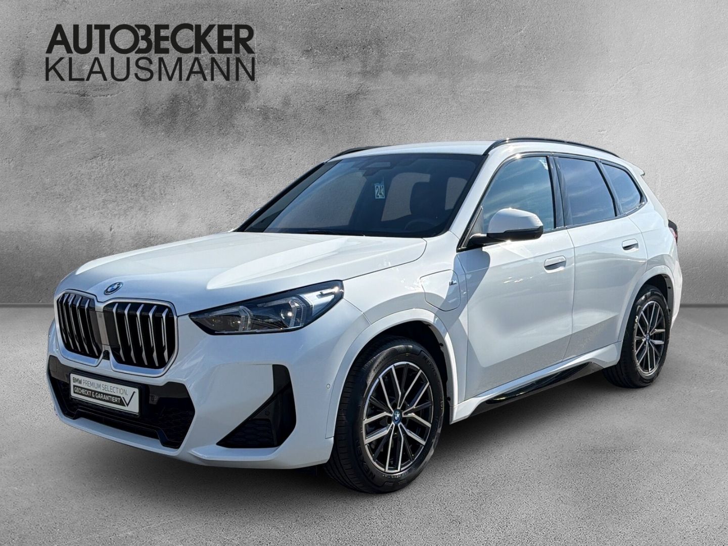 BMW X1 xDrive 30e M SPORT 18''LC PROF HuD ALARM AHK 