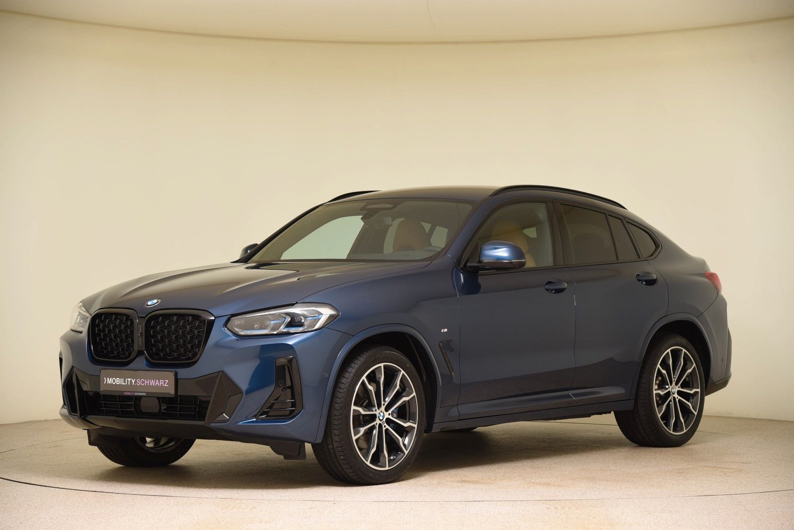BMW X4 xDrive30d M Sport HUD ACC Laser AHK Standhzg