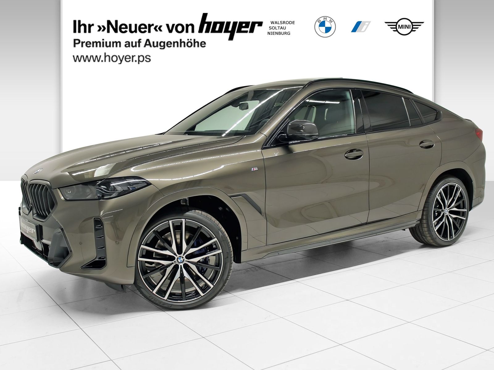 BMW X6 xDrive40d M Sportpaket Pro AHK STHZ Pano Icon