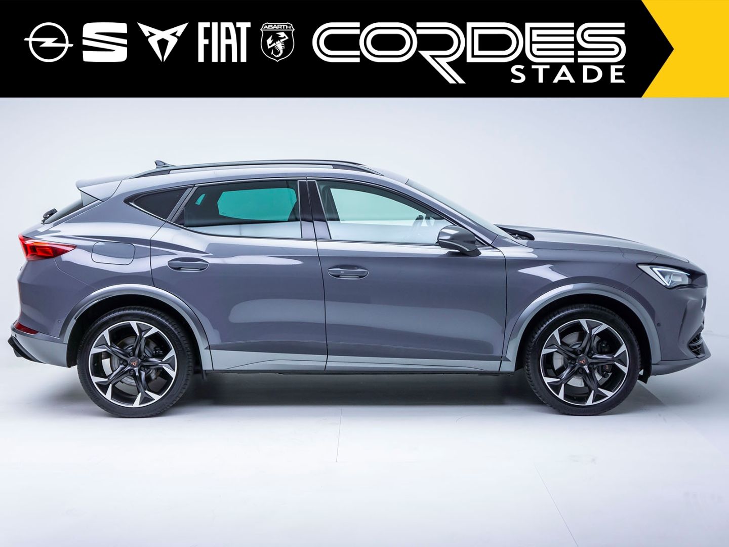 Cupra Formentor VZ 4Drive 2.0 TSI AHK ACC Automatik Ap