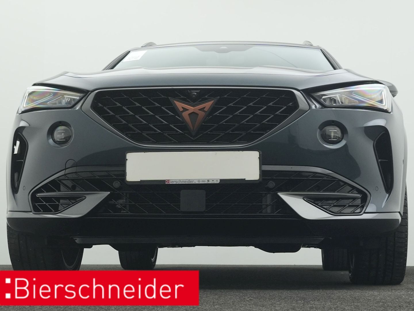 Cupra Formentor 2.0 TSI DSG 4Dr. VZ PANO AHK 360 eHECK