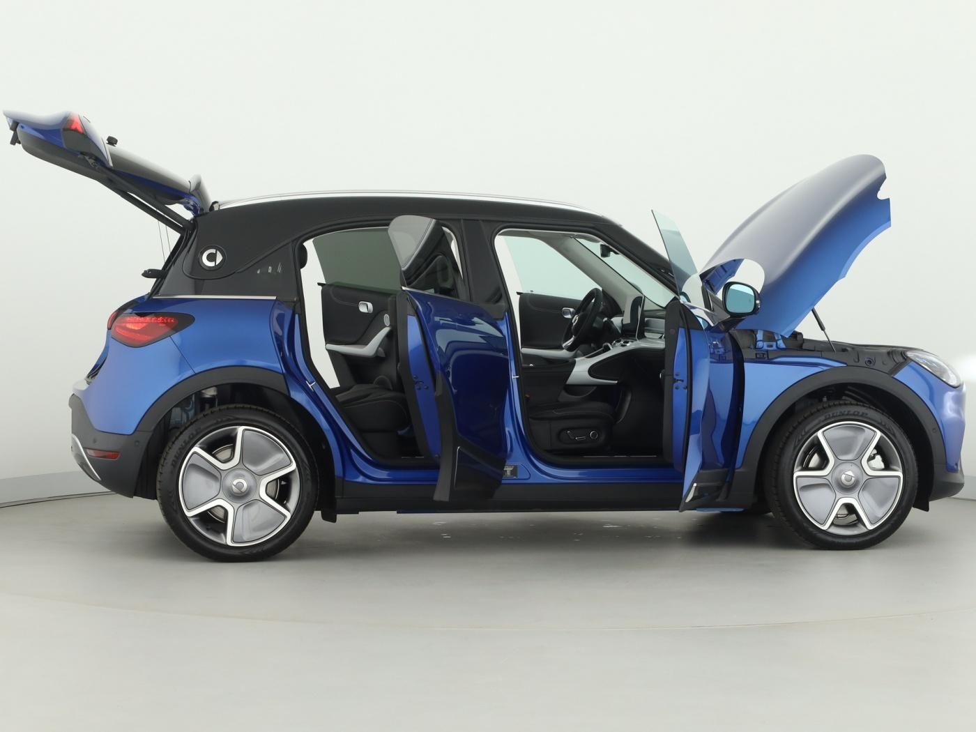 Smart #1 Pulse