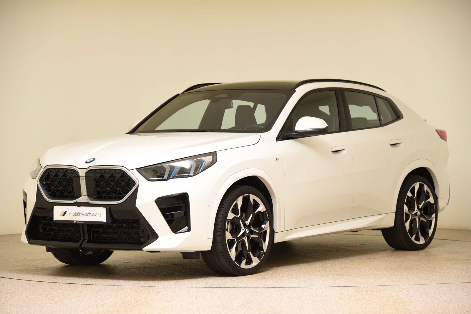 BMW X2 xDrive20d M Sport Pano ACC LED HUD Alarm AHK