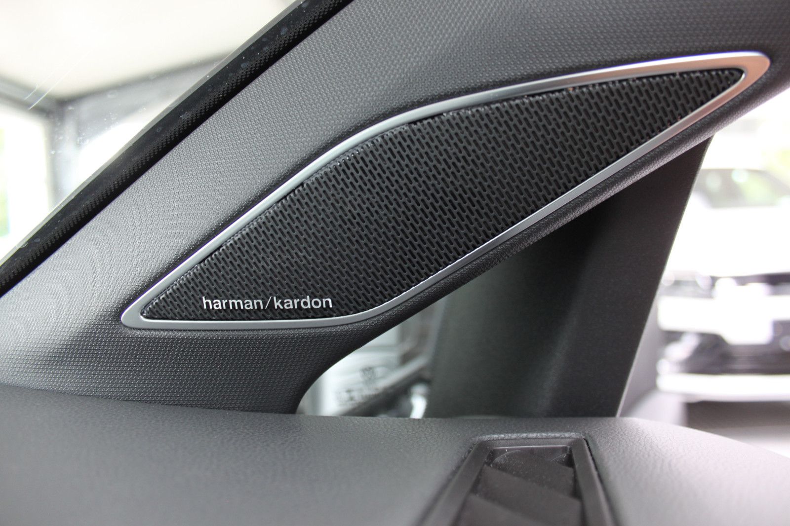 Volkswagen Golf VIII Lim./R/BLCKSTYLE/DSG/LEDER/R-PERFO-PAK