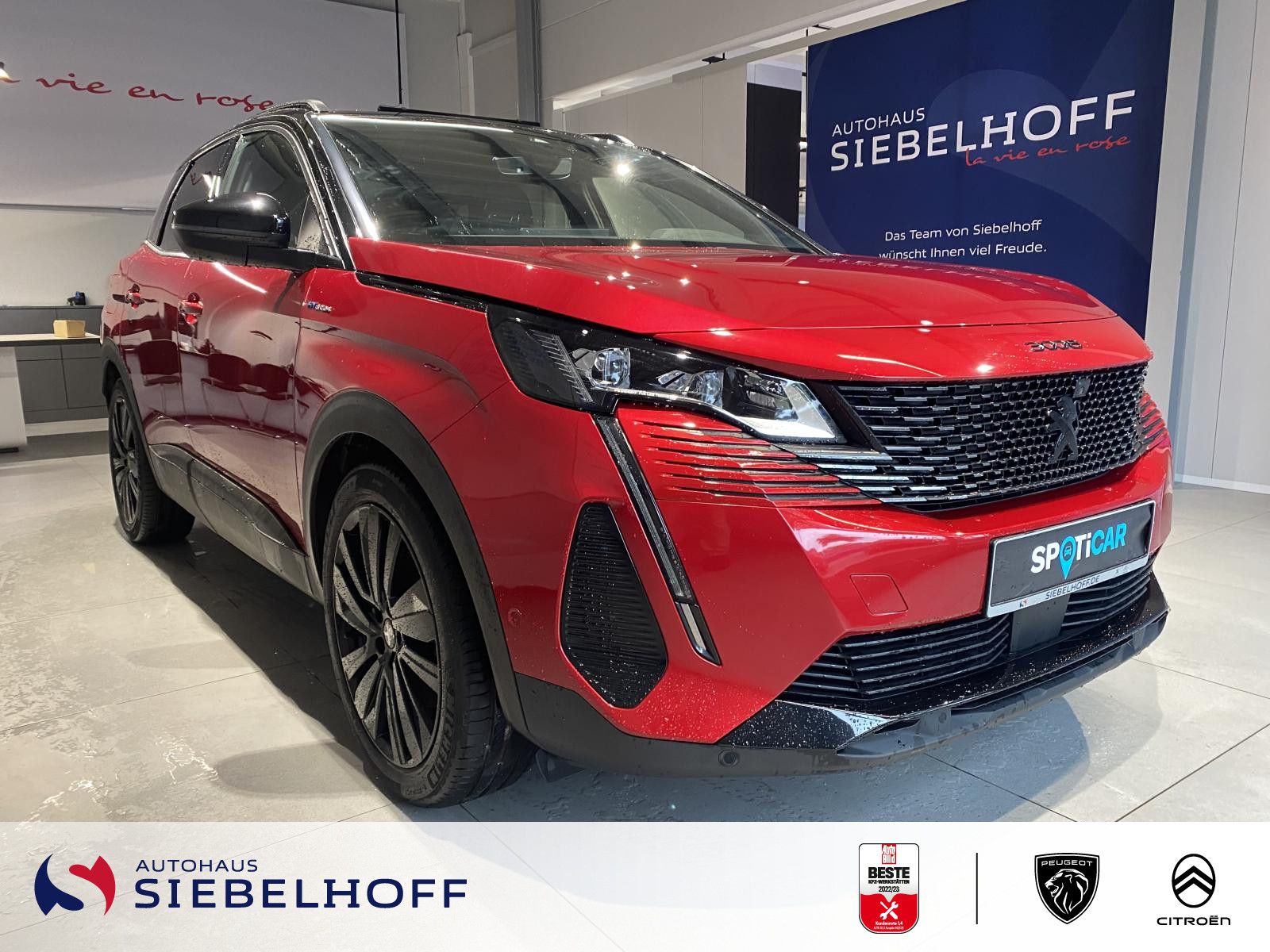 Peugeot 3008 GT Pack HYBRID4 300 e-EAT8 *Leder*Pano*