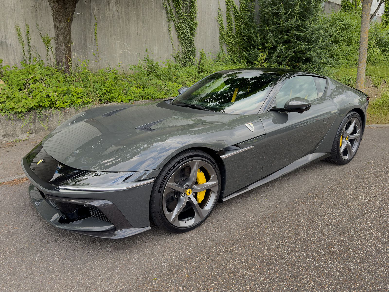 Ferrari Andere 12 Cilindri - Samsaru's Car Outlet