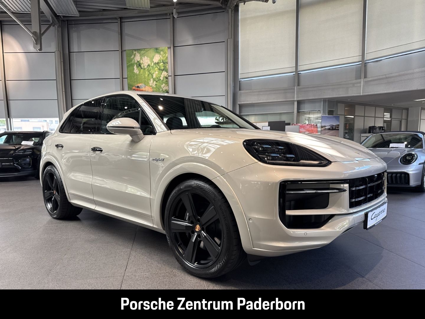 Porsche Cayenne E-Hybrid HA-Lenkung Nachtsicht InnoDrive