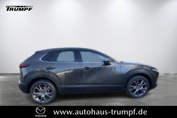 Mazda CX-30 186PS AWD 6AG SELECTION DESIGN-u.PREMIUM-P
