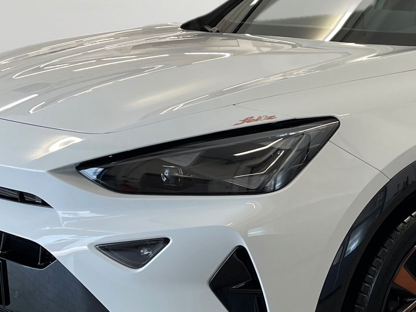 Cupra Formentor 2.0 TSI 4Drive VZ *PANO*AHK*KAMERA*