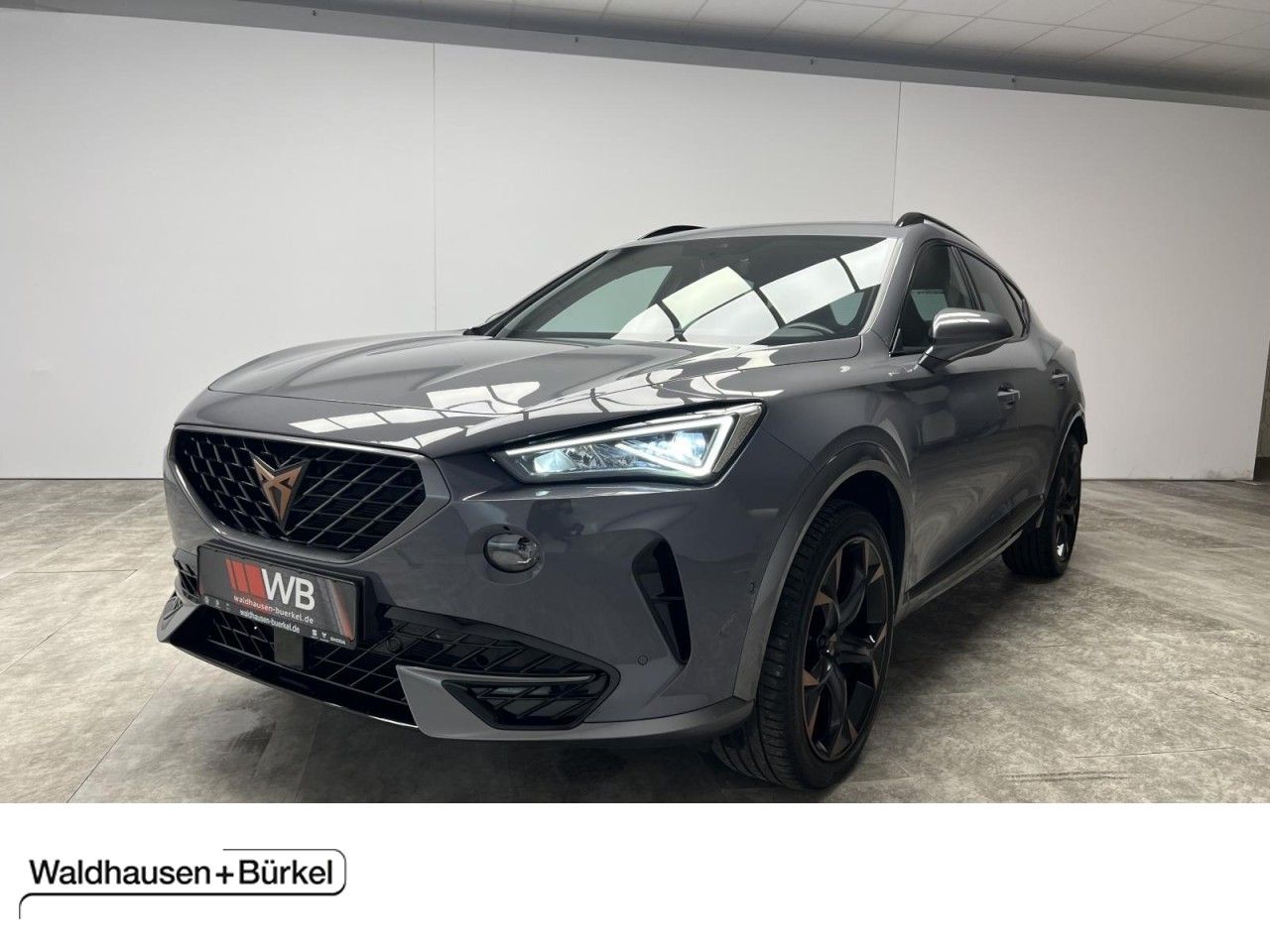 Cupra Formentor VZ 2.0 TSI DSG 4Drive Panorama Klima