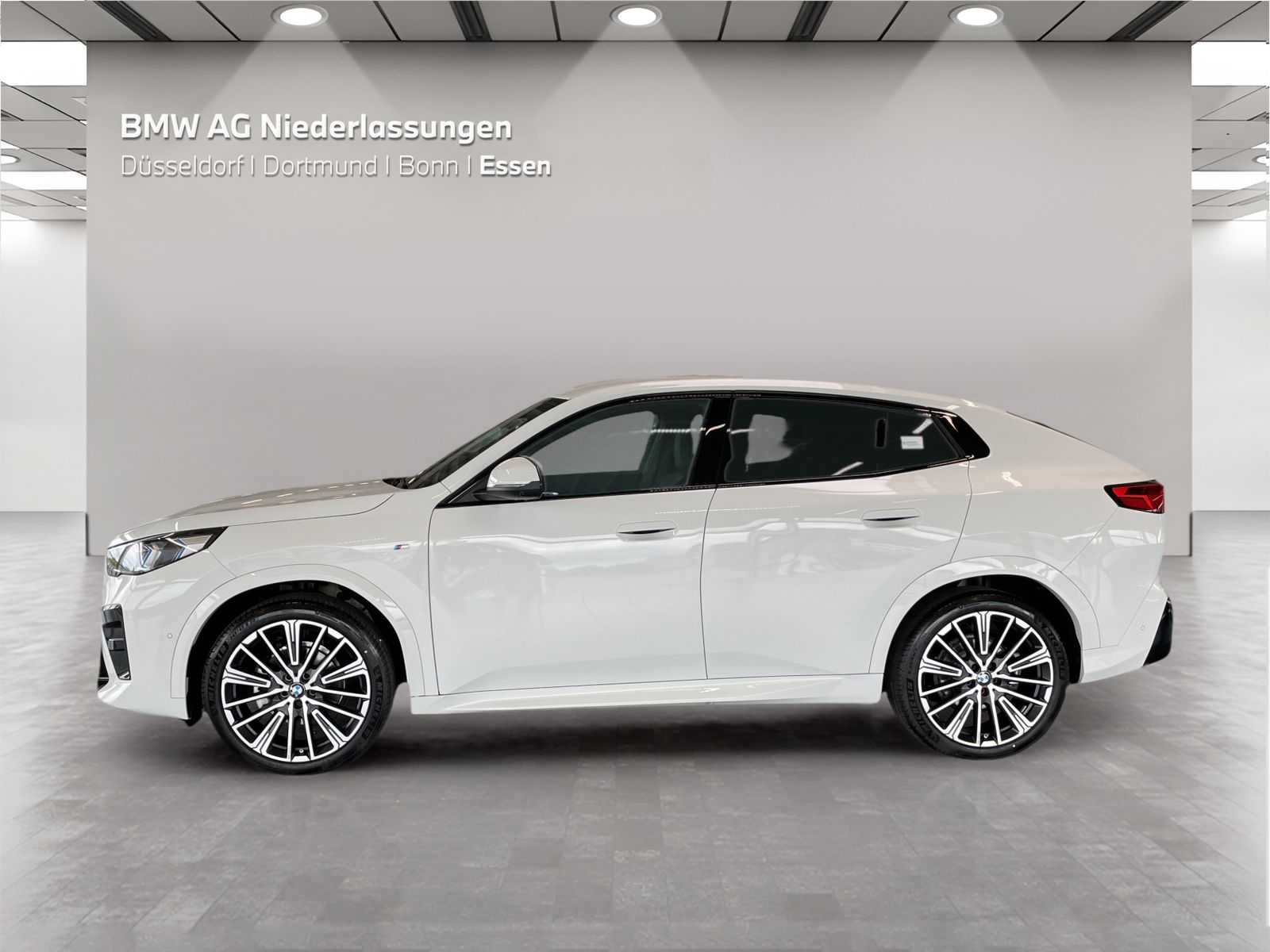 BMW X2 xDrive20d M Sport AHK Driv.Assist+ Harman/K