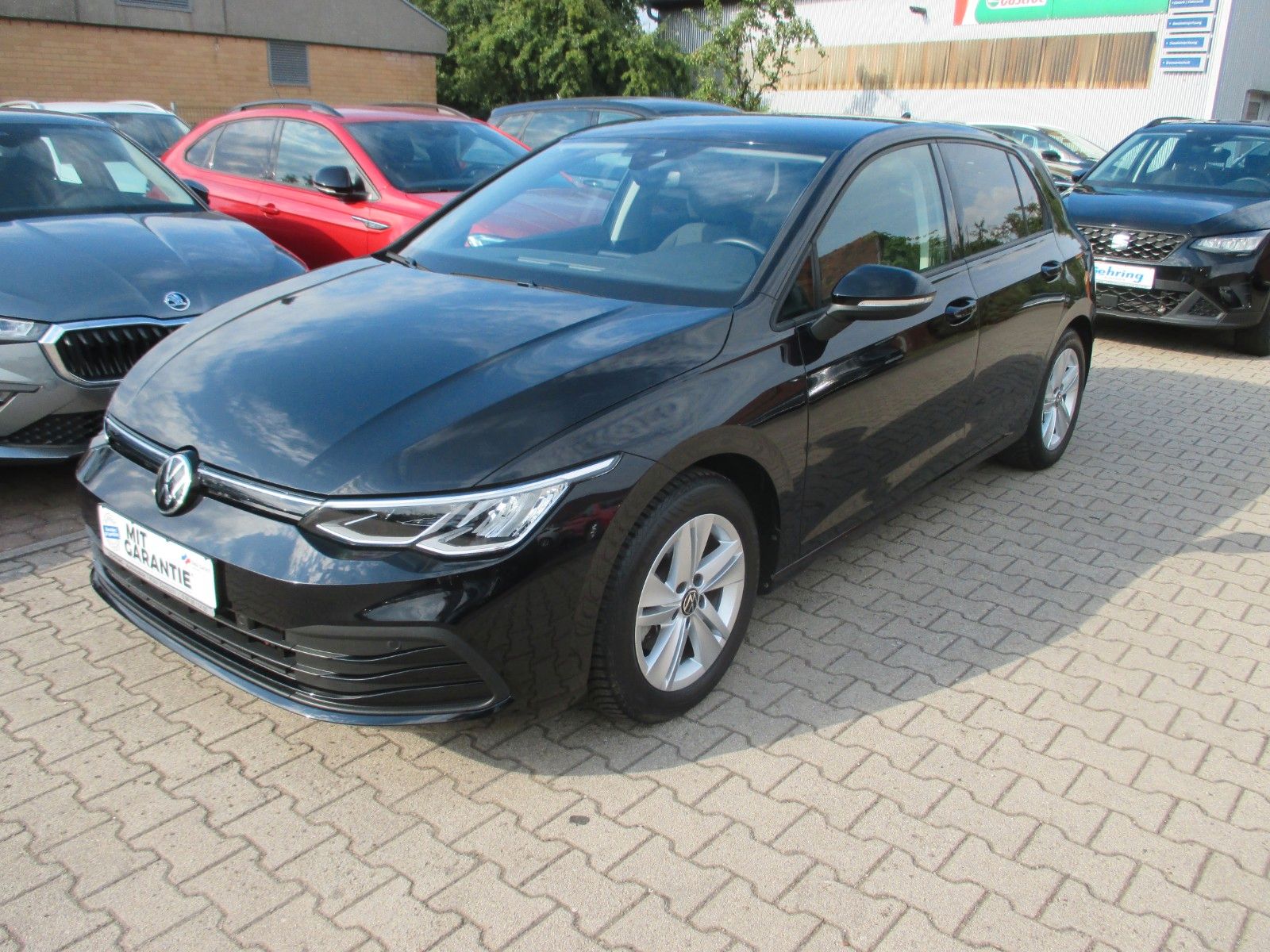 Volkswagen Golf 8 1.5 TSI Life - Samsaru's Car Outlet